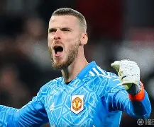 真人-阿扎伦卡有几个大满贯