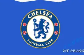 电竞-夏洛特黄蜂队新闻