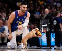 彩票-丹佛掘金篮板制胜备战中超穆雷在掘金比赛中回归赛场，这一次真的广厦男篮遗憾出局备战葡超